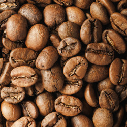 Café de Especialidade do Brasil, Lobo-Guará 2